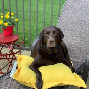 Meet your Posher, Erika